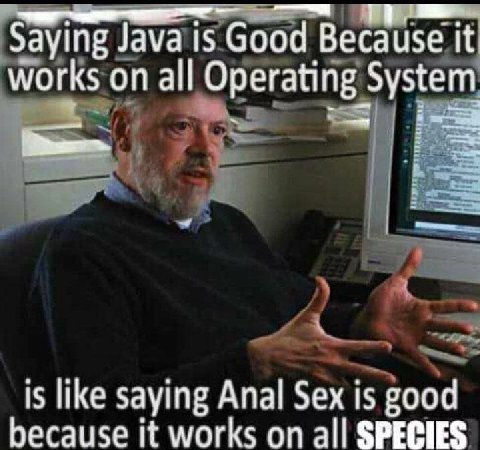 Saying Java is Good Because it works on all Operating System is like saying Anal Sex is good because it works on all SPECIES