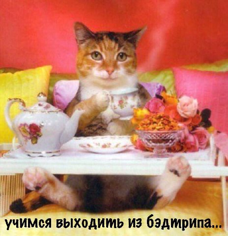 Of bad Я 7 учимея выходить из бэдирипа