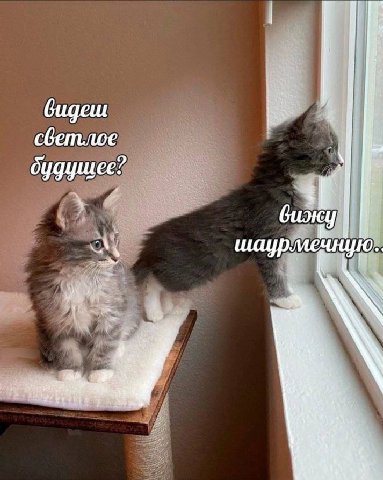 будущее? биж