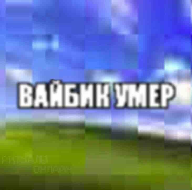 ВАЙБИК
