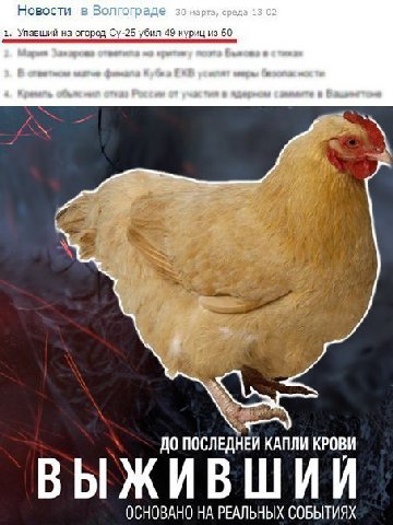 Новости в Волгограде 39 марта, среда 13 02 1. Упавший на огород убил 49 куриц из 50 К, марь, 4 of ПОСЛЕДНЕЙ КАПЛИ КРОВИ ОСНОВАНО НА РЕАЛЬНЫХ СОБЫТИЯХ