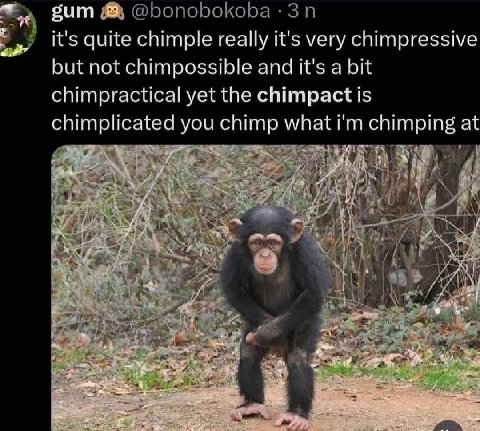 бит @bonobokoba it's quite chimple really it's very chimpressive but not chimpossible and it's a bit chimpractical yet the chimpact is chimplicated you chimp what chimping at У К