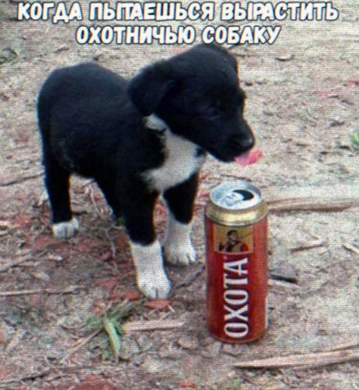 КОГДА-ПЬПАЕШЬСЯ:ВЬ! Я:ВЫРАС on. 55