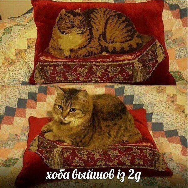 хода 29