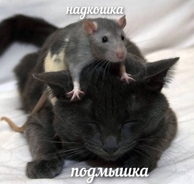 у