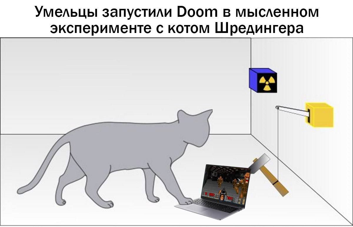 Умельцы запустили Воот в мысленном эксперименте с котом Шредингера