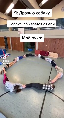 Собака: срывается с цепи = пи Моё очко: пение Я: Дразню собаку