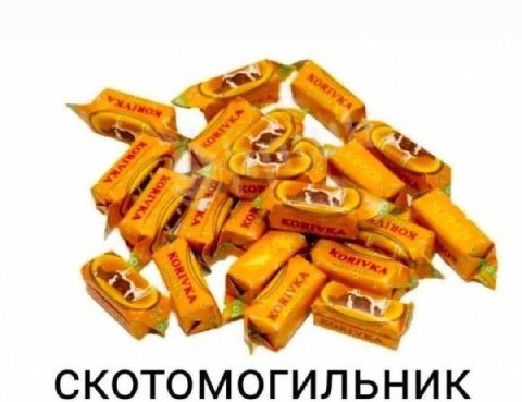 2 СКОТОМОГИЛЬНИК