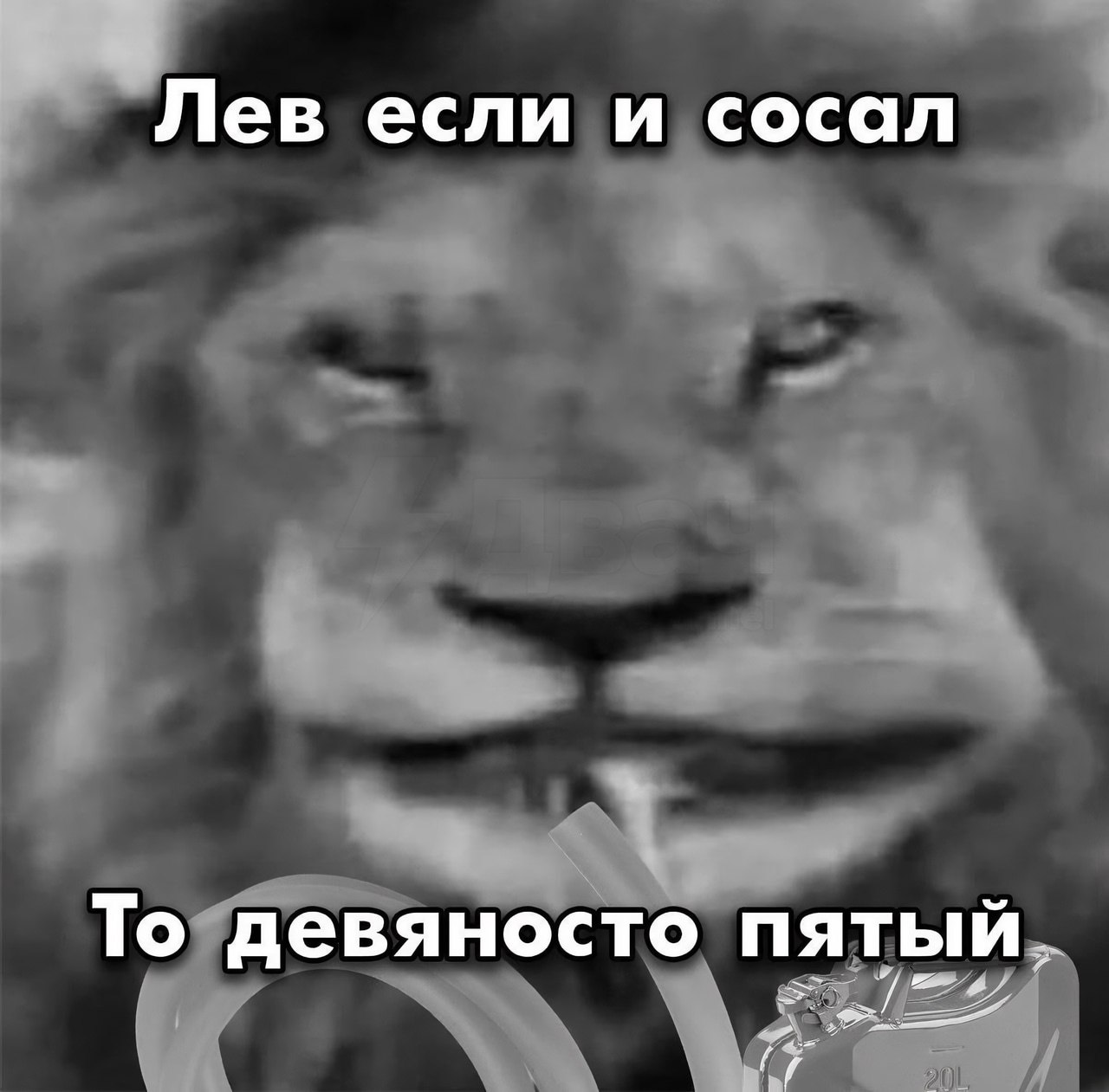 Лев если и сосал То девяносто пятый,