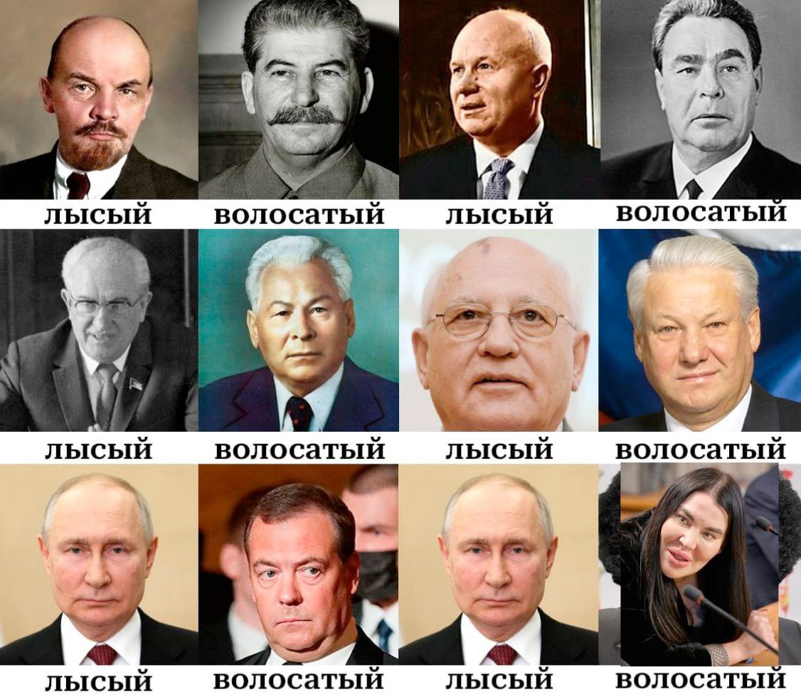 лысый волосатый лысый волосатый у волосатый волосатый лысый лысый а лысый волосатый лысый волосатый