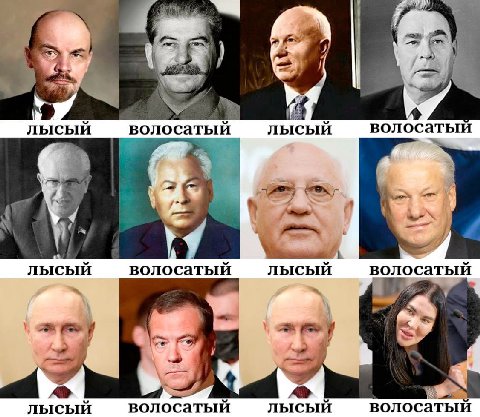 лысый волосатый лысый волосатый у волосатый волосатый лысый лысый а лысый волосатый лысый волосатый