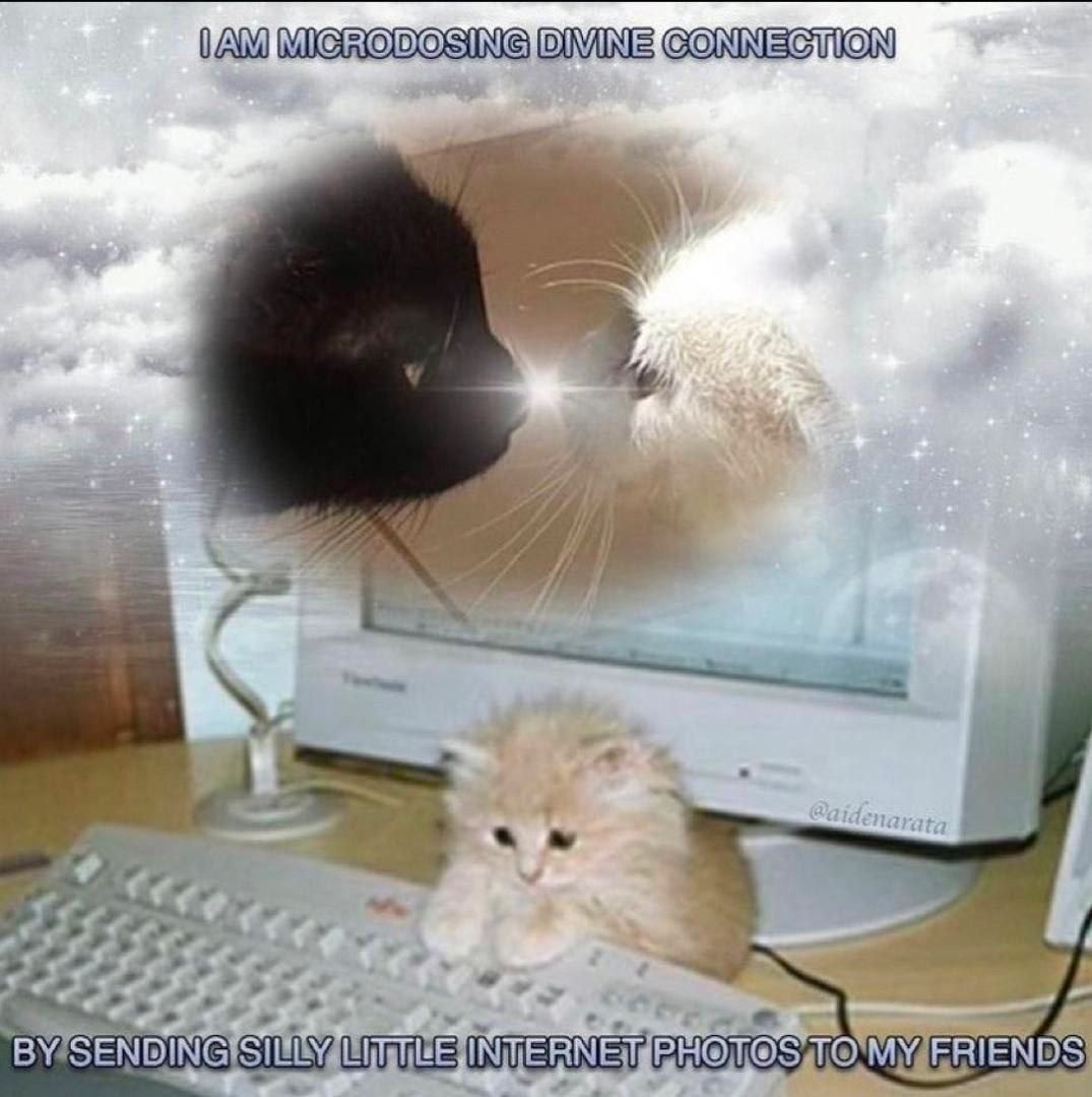 MIGRODOSING DIVINE 4 к a