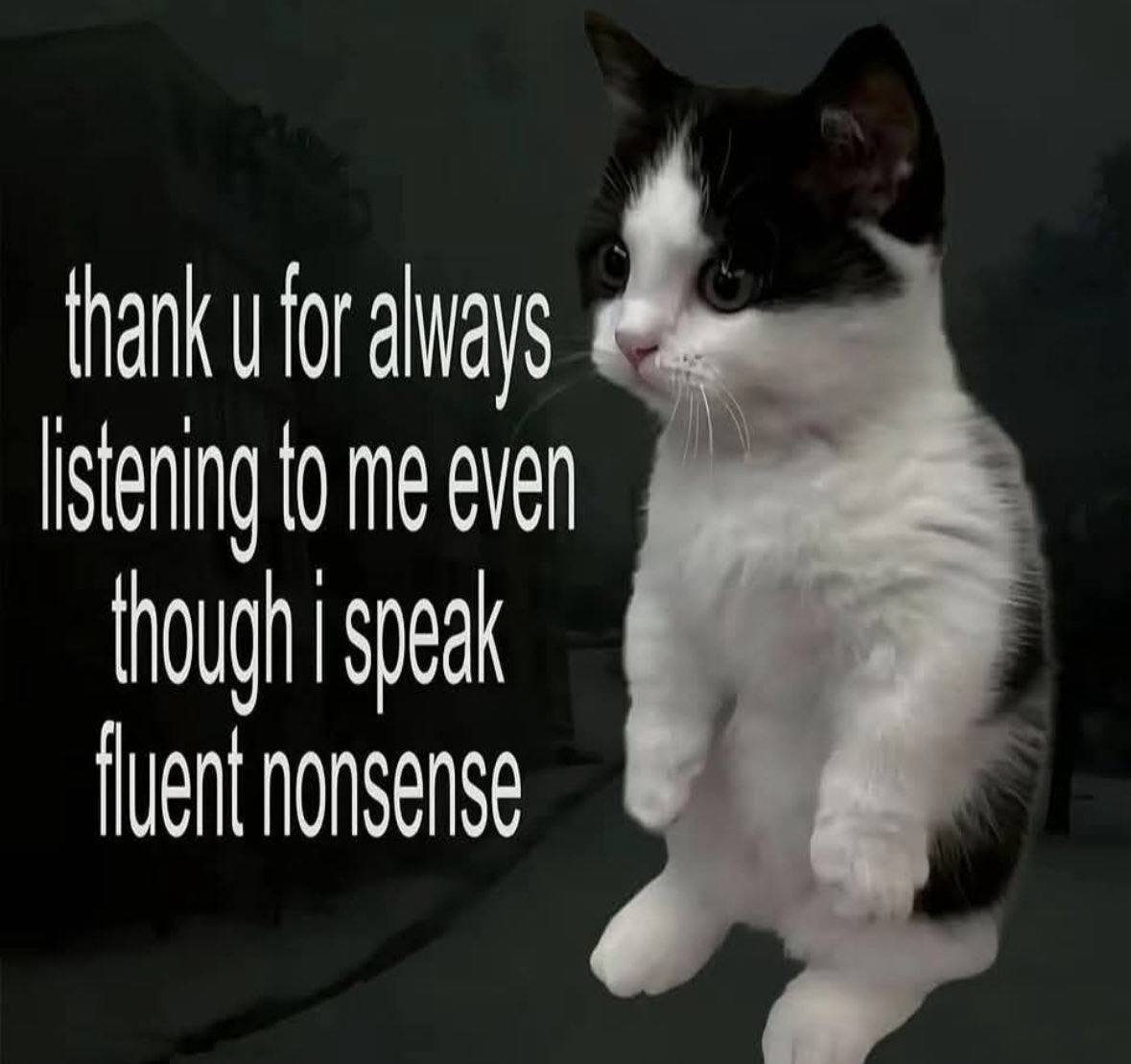me even speak fluent nonsense