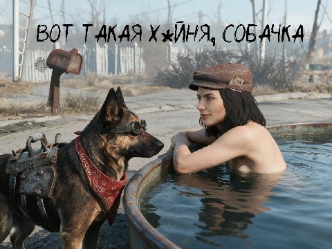 ВОТ ТАКАЯ ХжИНЯ, СОБАЧКА 2