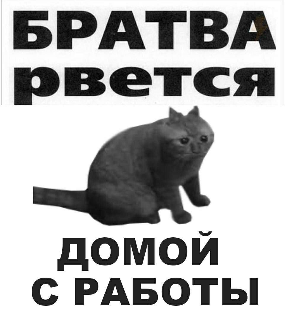 БРАТВА рвется ДОМОЙ С РАБОТЫ