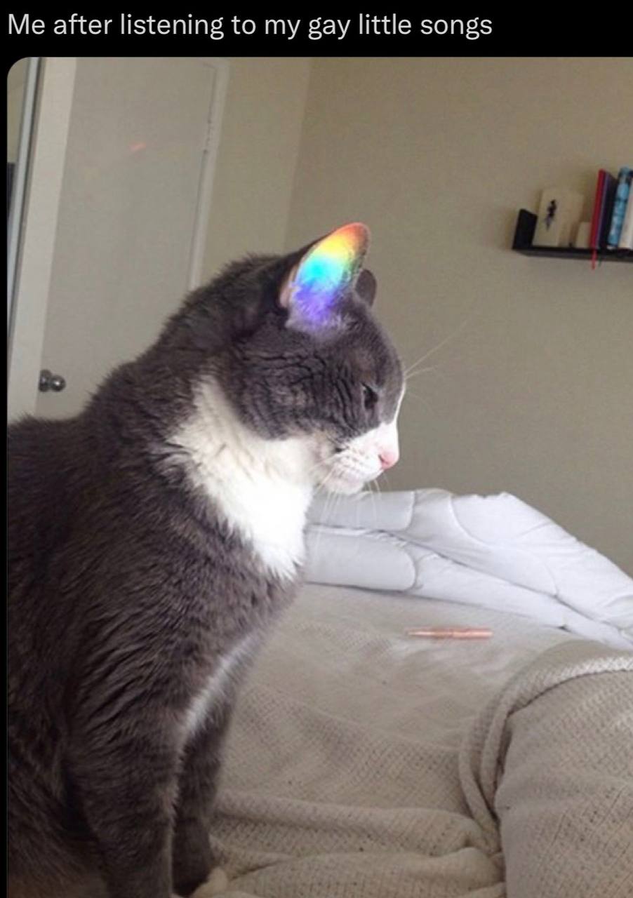 Me after listening to my gay little songs