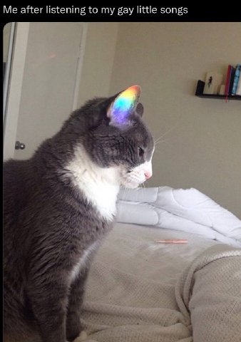 Me after listening to my gay little songs