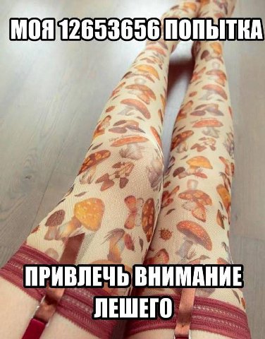 у i 2653 bITKA 2% у i А 1 ПРИВЛЕЧЬ ВНИМАНИЕ ЛЕШЕГО