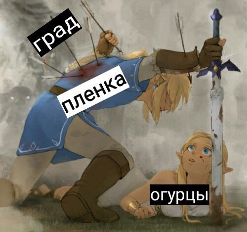огурцы