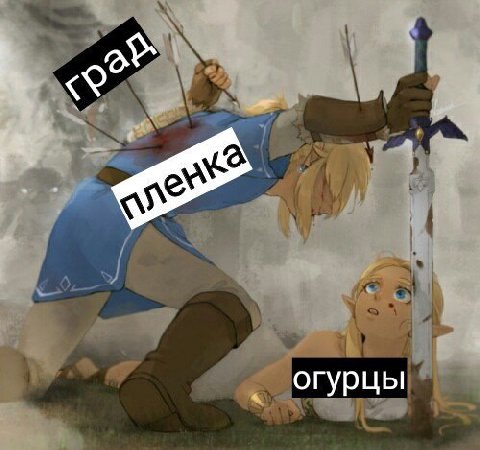огурцы