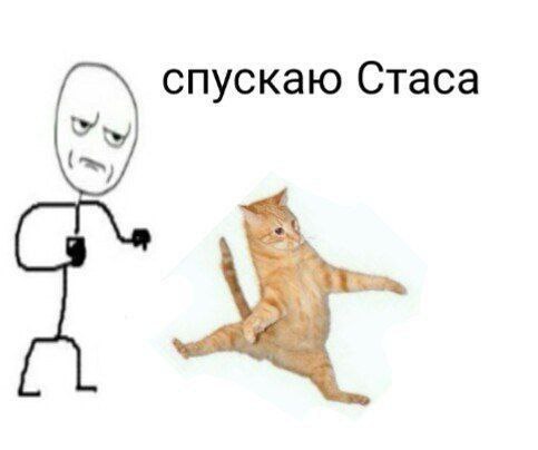 спускаю Стаса