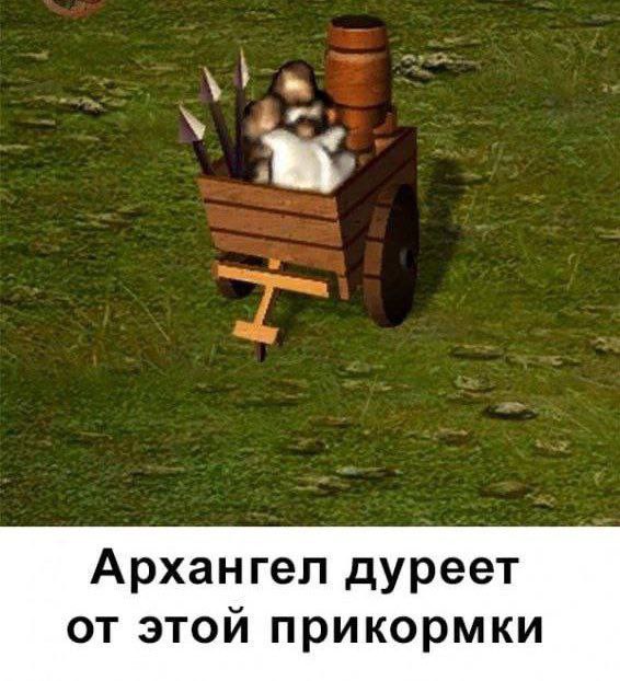 Архангел дуреет от этой прикормки