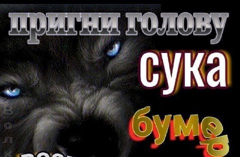 сука