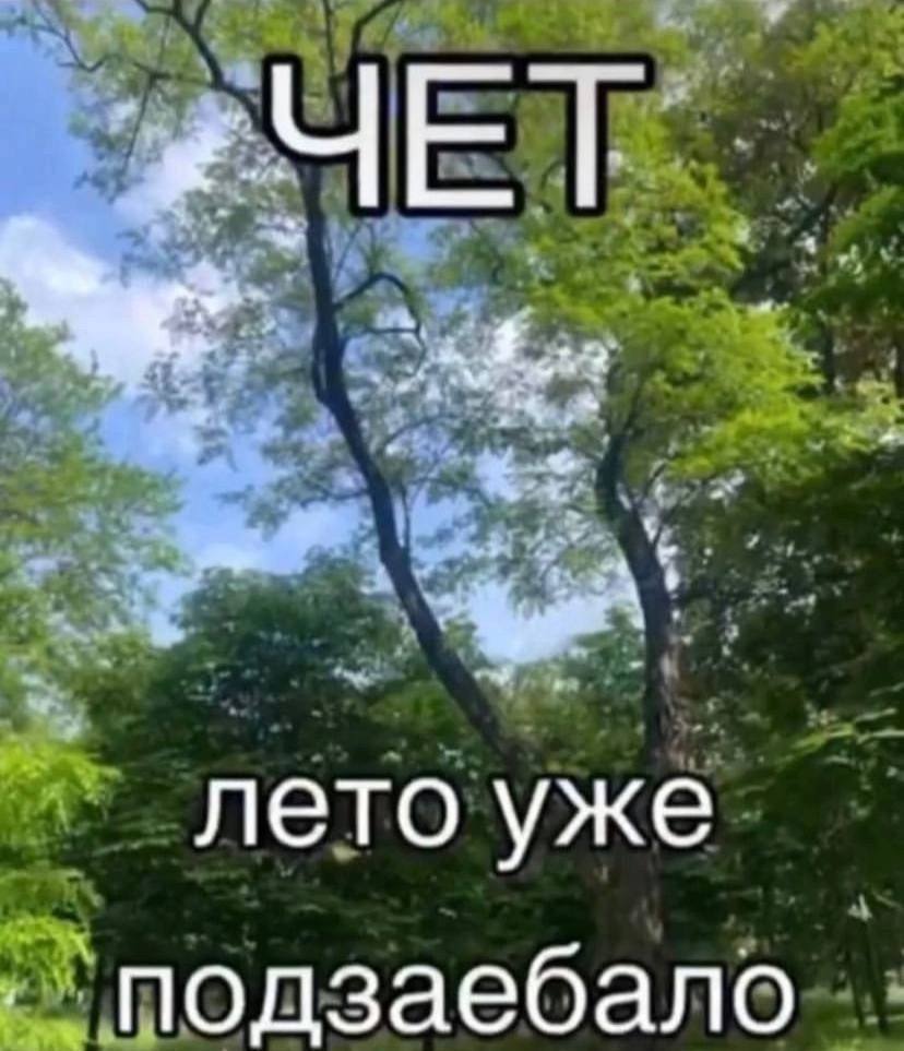 лето уже подзаебало