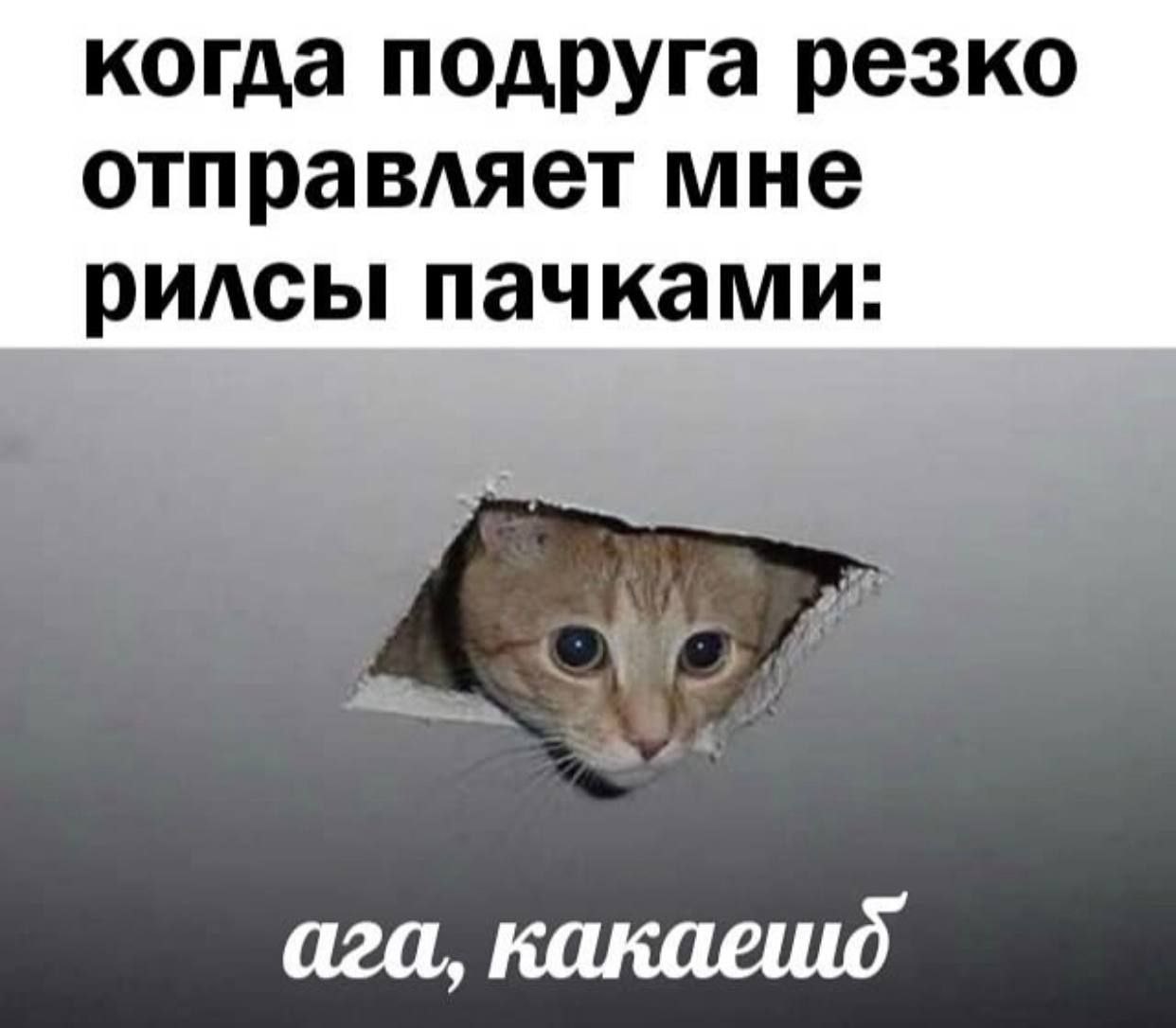 когда подруга резко отправляет мне рилсы пачками: ага,