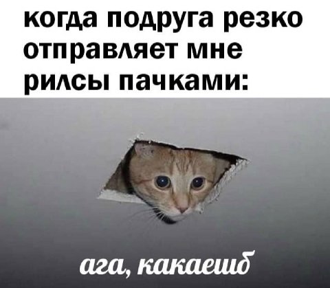 когда подруга резко отправляет мне рилсы пачками: ага,
