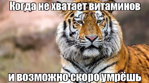не хватает витаминов 4 (73 3 We Oot,