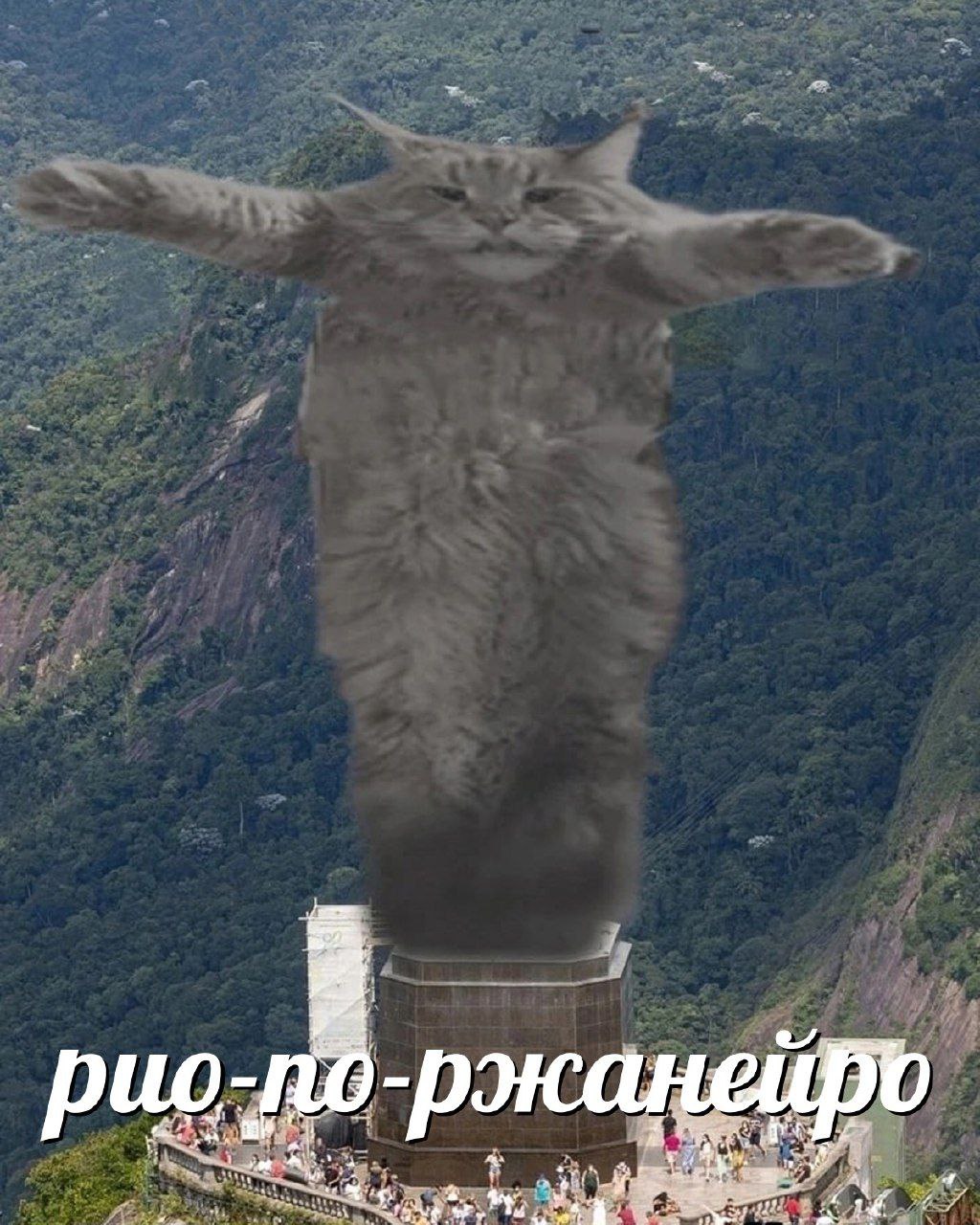 рио-