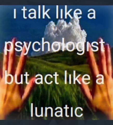 talk а озусноюй 154 but act а lunatic