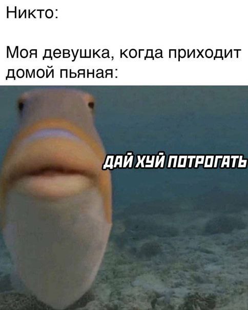 Никто: Моя девушка, когда приходит домой пьяная: ДАЙ ХЧИ