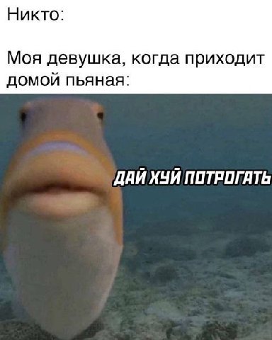 Никто: Моя девушка, когда приходит домой пьяная: ДАЙ ХЧИ