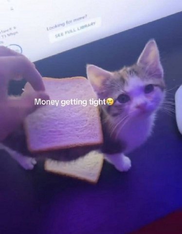 Мопеу getting