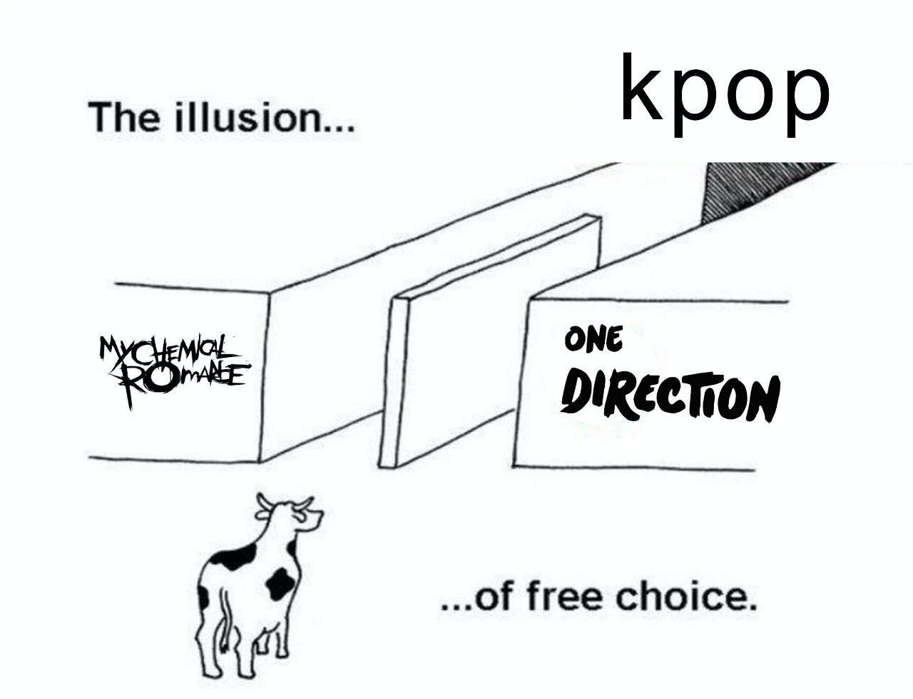 The illusion... Кро ONE DIRECTION free choice.