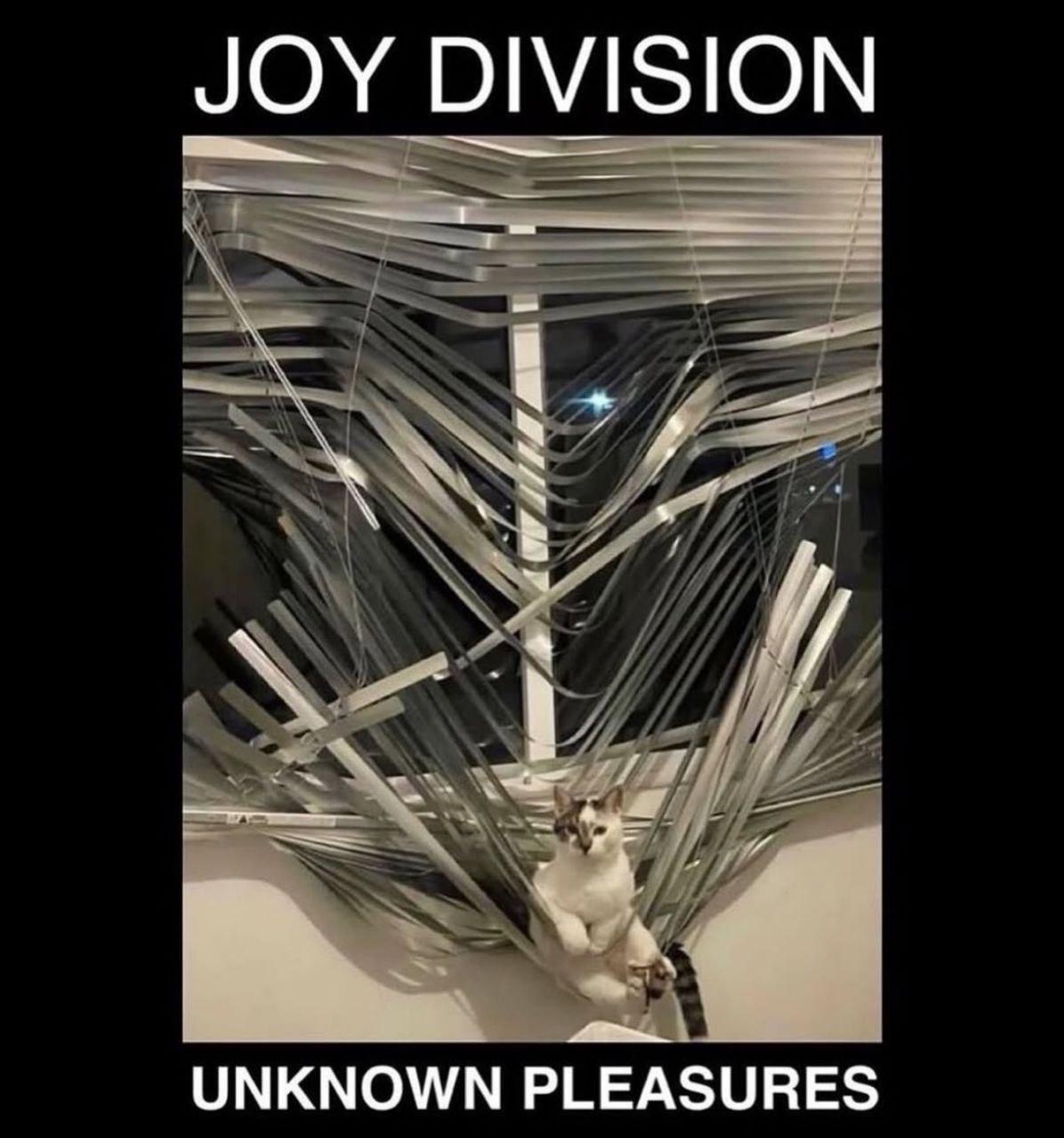 JOY DIVISION UNKNOWN PLEASURES