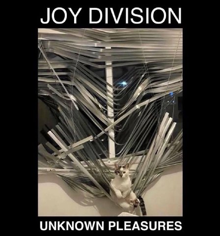 JOY DIVISION UNKNOWN PLEASURES