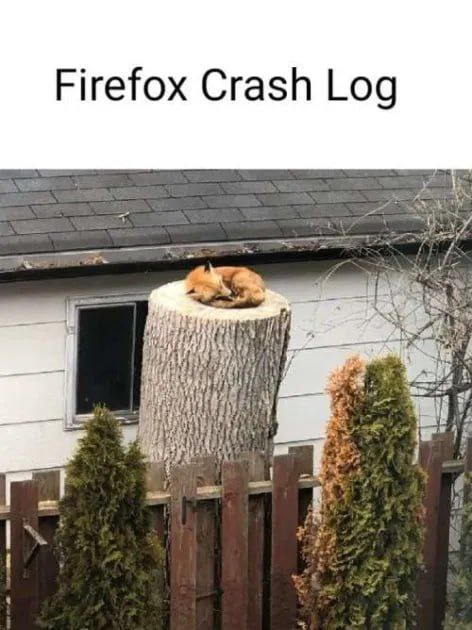 Firefox Crash Log i у