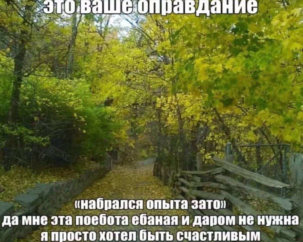 (набрался опыта зато, да мне эта поебота ебаная и даром не нужна я просто хотел быть счастливым