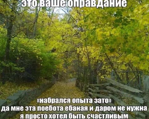 (набрался опыта зато, да мне эта поебота ебаная и даром не нужна я просто хотел быть счастливым