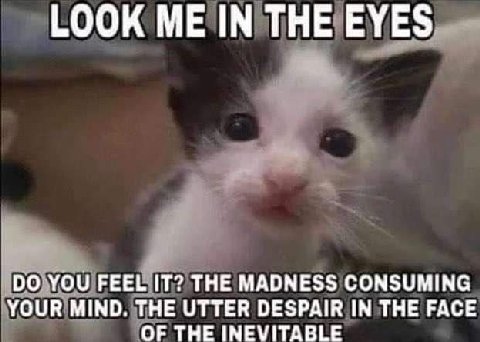 LOOK ME IN THE EYES YOU FEEL IT? THE MADNESS CONSUMING YOUR MIND. THE UTTER DESPAIR IN THE FACE OF THE INEVITABLE
