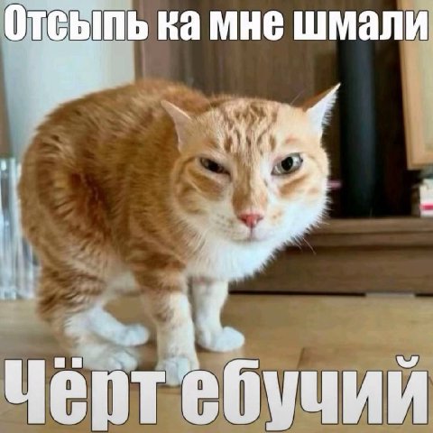 мне шмали. Черт ебучии