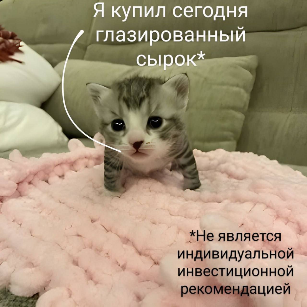 Я купил сегодня глазированный сырс *He является индивидуальной инвестиционной цией