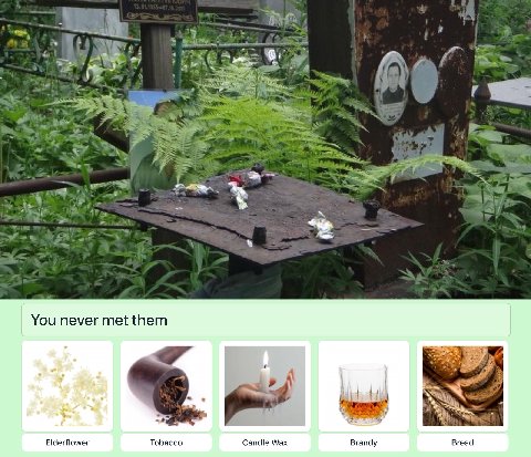 В у к вы и 7 a 1 1 You never met them 4 Elderflower Tobacco Candle Wax Brandy Bread