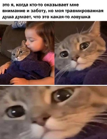 это я, когда кто-то оказывает мне внимание и заботу, но моя травмированная душа думает, что это какая-то ловушка
