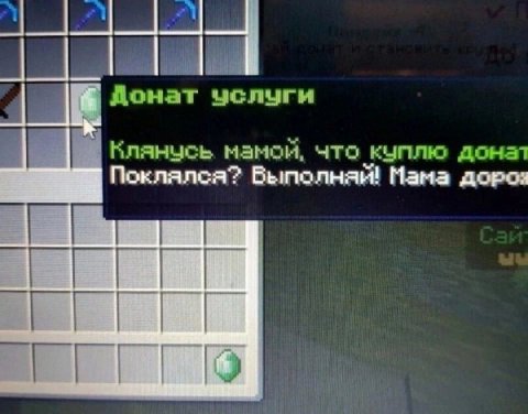 челуги Кланчсь мамой, что куплю донат Поклалса? Быполнай! Мама