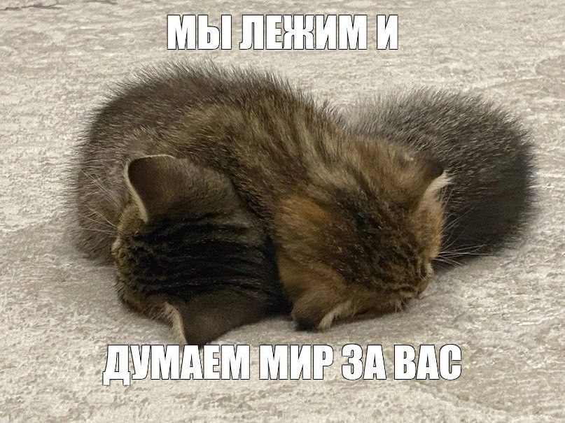ДУМАЕМ