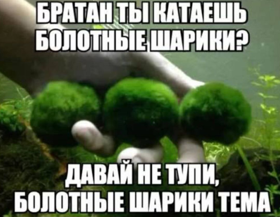 УБРАТАНТЫ КАТАЕШЬ ДАВАЙ НЕТУПИ, БОЛОТНЫЕ ШАРИКИ ТЕМА